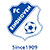 fc-eindhoven.png