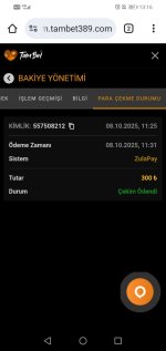Screenshot_20251008_131628_com.android.chrome.jpg